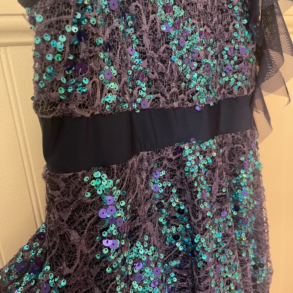Figure Skating Dress - Picture 3 of 3